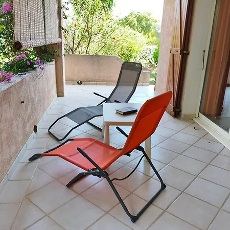 L'arbousier *