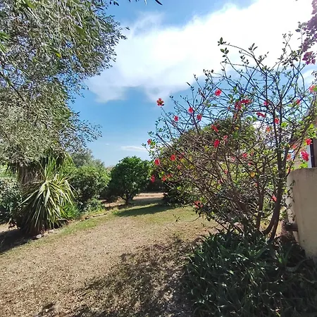 L'arbousier *