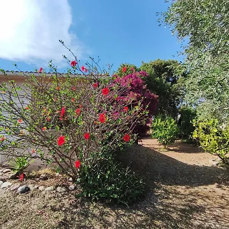L'arbousier Holiday home *