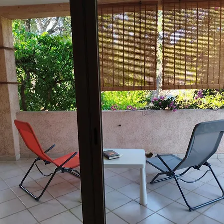L'arbousier Ventiseri