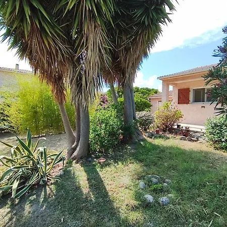 L'arbousier Ventiseri