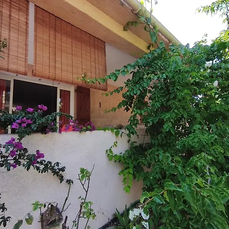 L'arbousier Holiday home Ventiseri