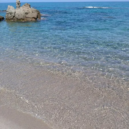 L'arbousier