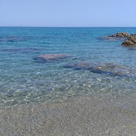 Holiday home L'arbousier *