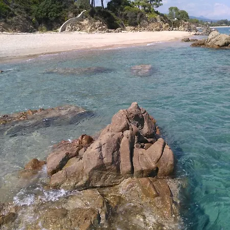 L'arbousier Holiday home *
